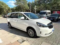 Buick GL8 Land Executive Cabin 652T Luxury - photo 3