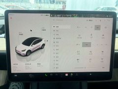 Tesla Model Y Rear-Wheel Drive - ფოტო 7