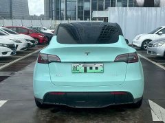 Tesla Model Y Rear-Wheel Drive - ფოტო 8