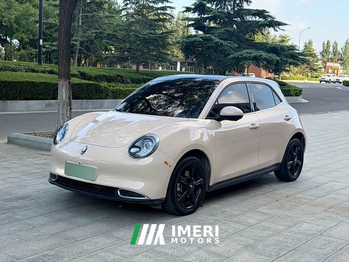 ORA Good Cat 2024 401km Luxury - ავტომობილი ჩინეთიდან