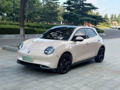 ORA Good Cat 2024 401km Luxury - ფოტო 1