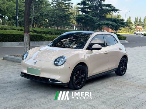 2025 ORA Good Cat 2024 401km Luxury - ავტომობილი ჩინეთიდან