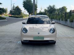ORA Good Cat 2024 401km Luxury - ფოტო 2