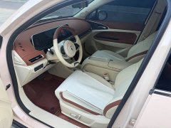ORA Good Cat 2024 401km Luxury - ფოტო 4
