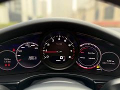 Porsche Panamera 2.9T Platinum Edition - ფოტო 16