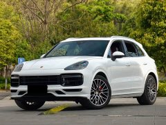 Porsche Cayenne 3.0T Automatic - ფოტო 1