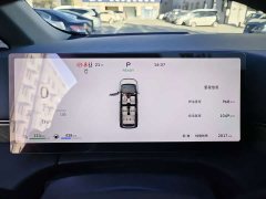 Great Wall WEY Shanshan New Energy 2025 Four-Wheel Drive Shanshan 7 - photo 6