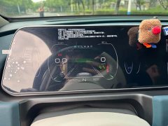 ORA Good Cat 2021 400km Standard Range Athena Edition LFP Battery - фото 9