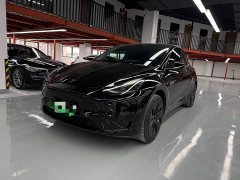 Tesla Model Y Rear-Wheel Drive - ფოტო 1