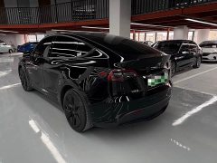 Tesla Model Y Rear-Wheel Drive - ფოტო 13