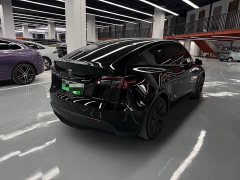 Tesla Model Y Rear-Wheel Drive - ფოტო 15