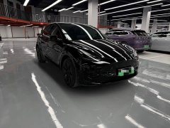 Tesla Model Y Rear-Wheel Drive - ფოტო 3