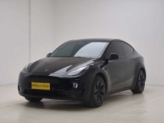 Tesla Model Y Rear-Wheel Drive - ფოტო 1