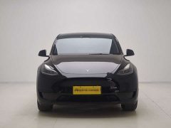 Tesla Model Y Rear-Wheel Drive - ფოტო 2
