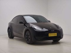 Tesla Model Y Rear-Wheel Drive - ფოტო 3