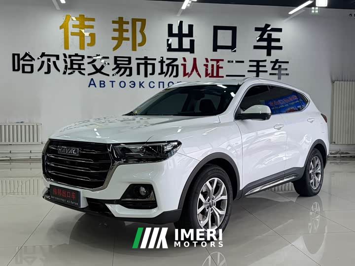 Haval H6 2021 National Trend 1.5T Automatic Champion Edition - автомобиль из Китая