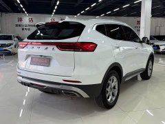 Haval H6 2021 National Trend 1.5T Automatic Champion Edition - фото 6