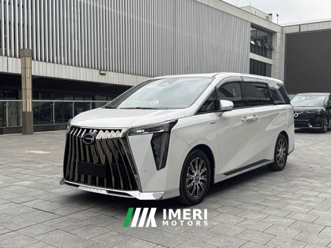 2024 GAC Trumpchi E9 Lunar New Year Edition - ავტომობილი ჩინეთიდან