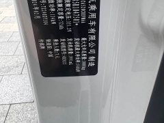 GAC Trumpchi E9 Lunar New Year Edition - фото 19