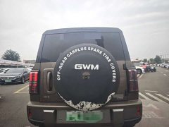 Great Wall H10 Hi4 Ultra 6-Seat Edition - photo 18