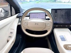 Xpeng P7 Long Range Max - ფოტო 10
