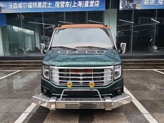 Watson Weil Wertson Weir 1917 Camper Van 2.0T Peak Edition - ფოტო 3