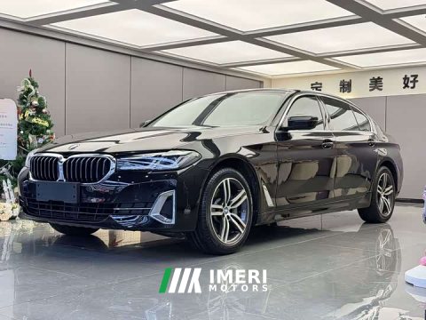 2021 BMW 5 Series 530Li Premier Luxury Package - ავტომობილი ჩინეთიდან