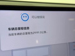 Li Auto L6 Pro - ფოტო 11