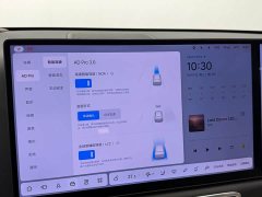 Li Auto L6 Pro - ფოტო 16