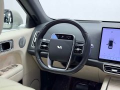 Li Auto L6 Pro - ფოტო 19