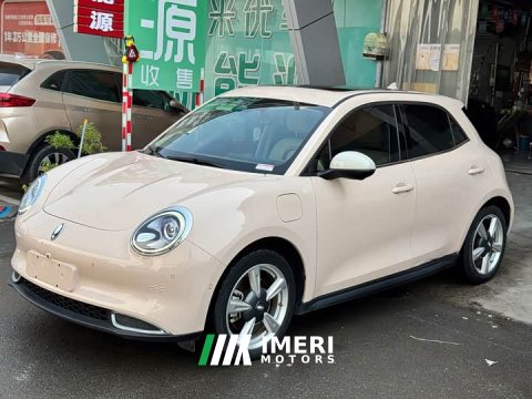 2021 ORA Good Cat 400km Standard Range Muse Edition LFP Battery - ავტომობილი ჩინეთიდან
