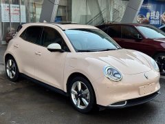 ORA Good Cat 400km Standard Range Muse Edition LFP Battery - ფოტო 3