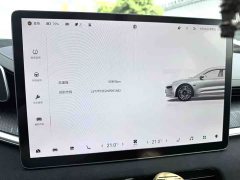 Zeekr Geely Zeekr 001 Long Range Dual Motor WE Edition - ფოტო 8