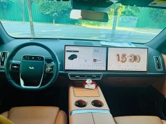 Li Auto L6 Pro Smart Refresh Edition - ფოტო 6