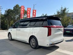 Great Wall WEY Shanshan New Energy 2025 Four-Wheel Drive Shanshan 8 - ფოტო 6