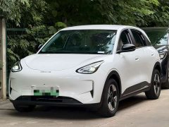 Geely Xing Yuan 310km Dream Edition - ფოტო 1