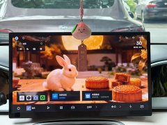 Geely Xing Yuan 310km Dream Edition - ფოტო 8