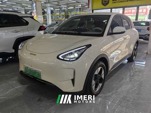 2025 Geely Xing Yuan 310km Dream Edition - ავტომობილი ჩინეთიდან