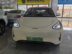 Geely Xing Yuan 310km Dream Edition - ფოტო 2
