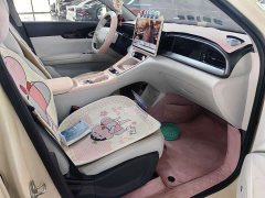 Geely Xing Yuan 310km Dream Edition - ფოტო 5