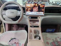 Geely Xing Yuan 310km Dream Edition - ფოტო 6