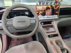 Geely Xing Yuan 310km Dream Edition - ფოტო 8
