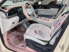 Geely Xing Yuan 310km Dream Edition - ფოტო 9