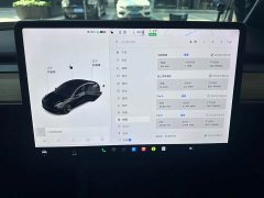 Tesla Model 3 Standard Range RWD Upgrade - ფოტო 3