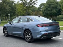 BYD Dolphin 06 DM-i Smart Drive 120KM Deluxe - photo 6
