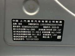 Buick GL8 New Energy Lusang Respect Edition - фото 16