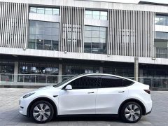Tesla Model Y Rear-Wheel Drive - ფოტო 3
