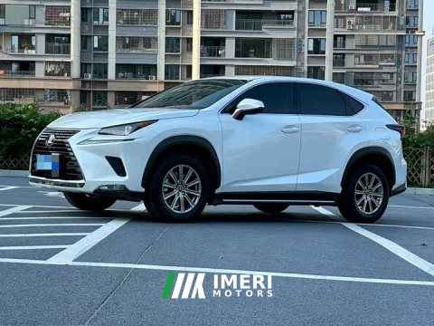 2021 Lexus NX 2020 200 FWD Sharp Edition National VI - автомобиль из Китая