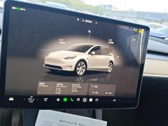 Tesla Model Y 2022 Rear-Wheel Drive - ფოტო 9