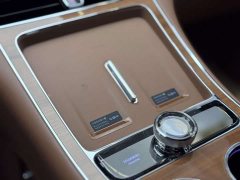 Stelato Zun S800 Extended Range Starlight Executive Edition 4-Seater (192-line LiDAR) - ფოტო 13